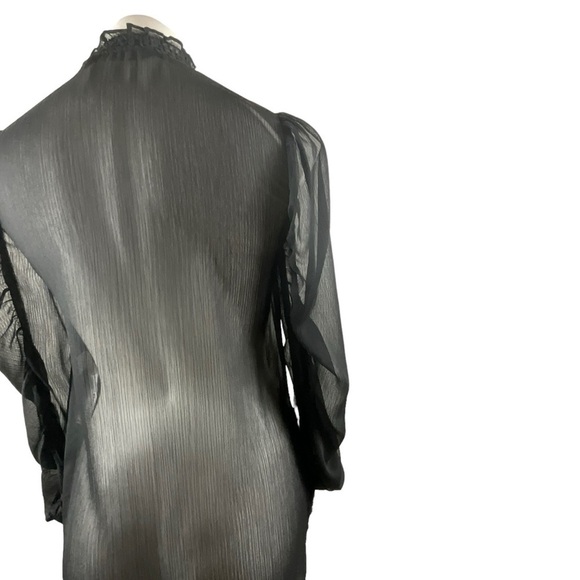 Zara Black Sheer Smocked High Neck Smocked Front Panel Ruched Sleeve Dress - Picture 12 of 14